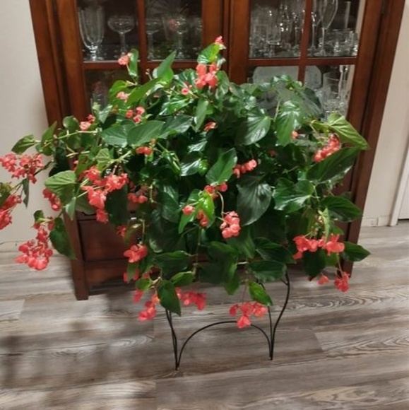 Meet your Posher, Renae - Picture 1 of 1